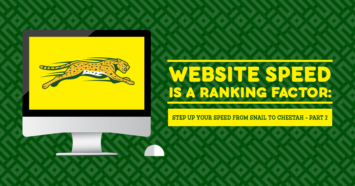 Website Speed is a Ranking Factor - Step Up Your Speed from Snail to Cheetah