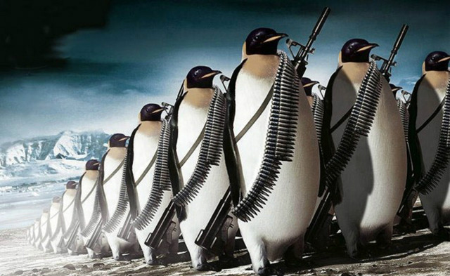 penguins marching to war